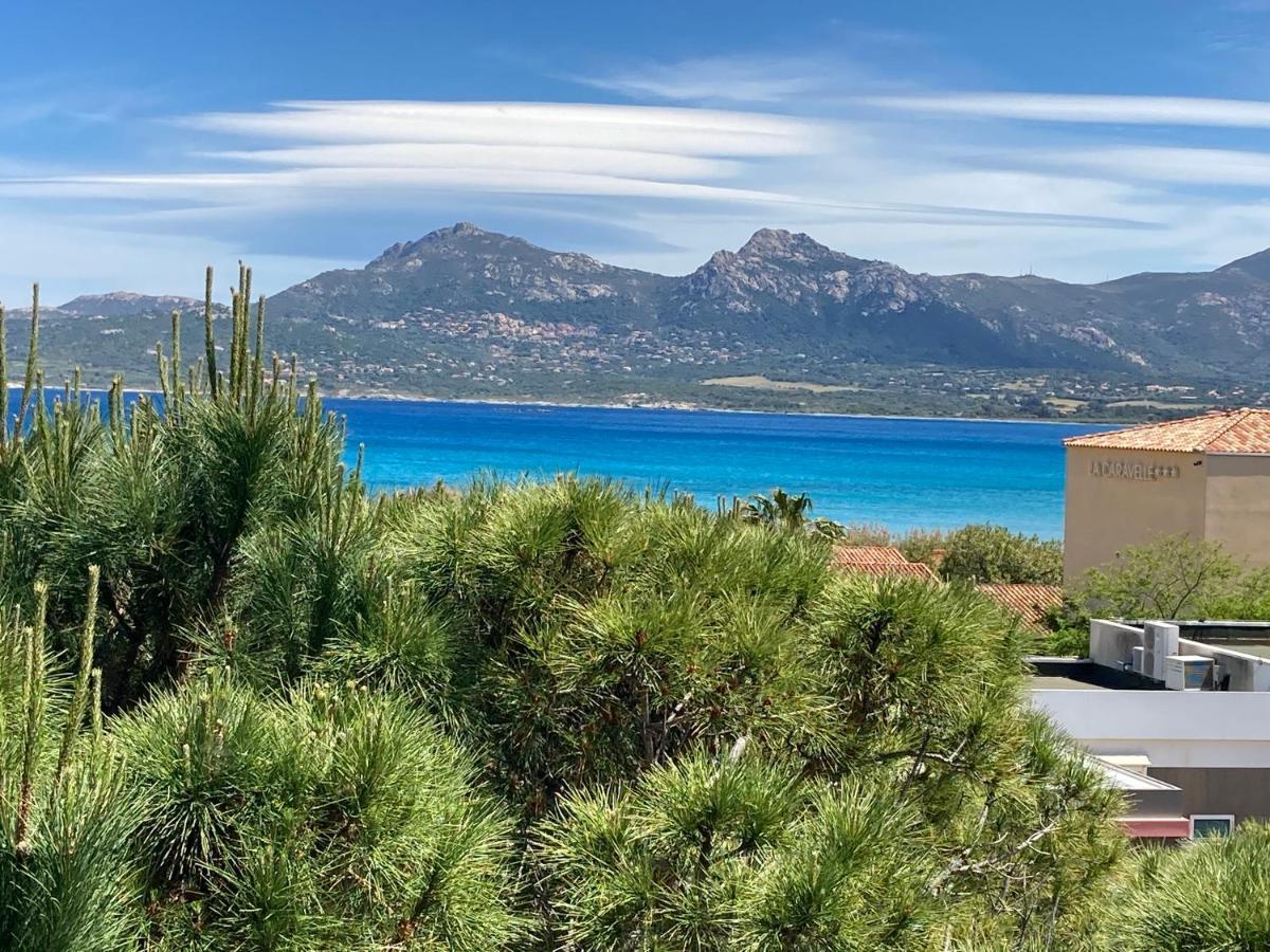Corse Calvi Appt Cote Mer Εξωτερικό φωτογραφία