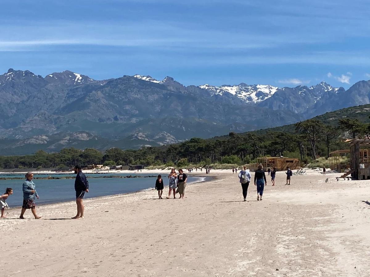 Corse Calvi Appt Cote Mer Εξωτερικό φωτογραφία