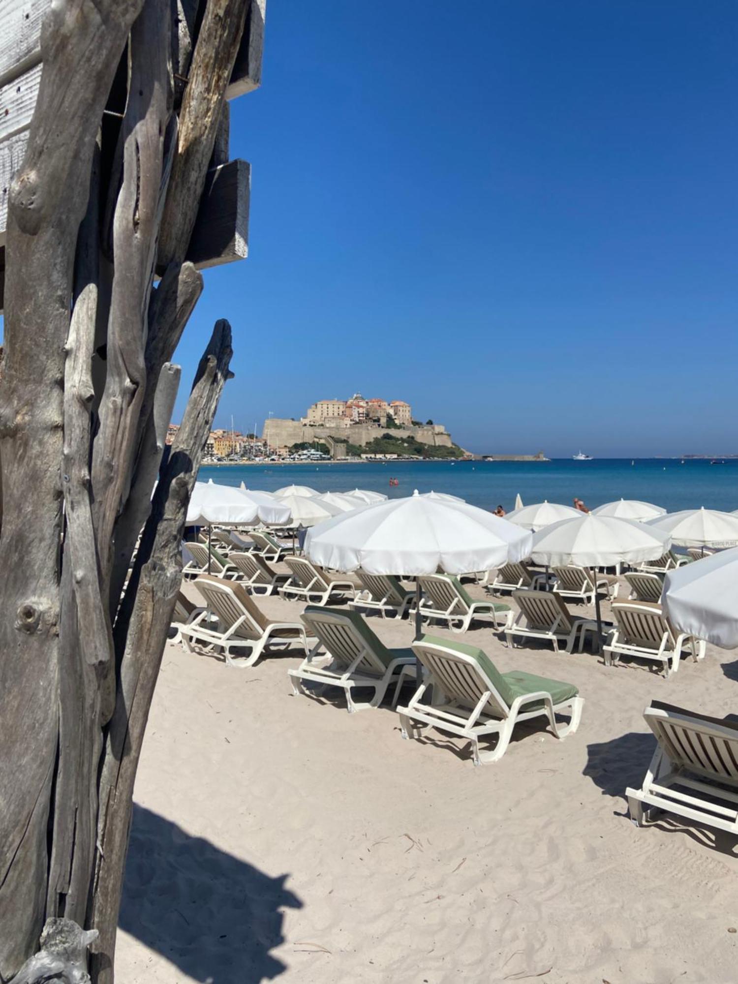 Corse Calvi Appt Cote Mer Εξωτερικό φωτογραφία
