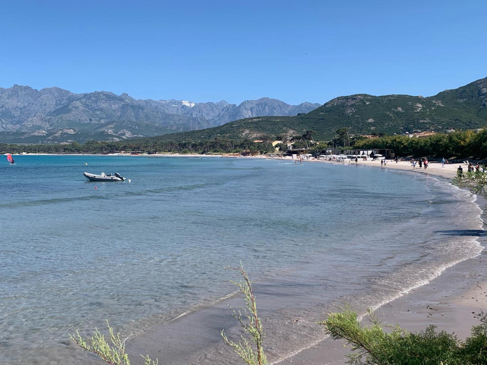 Corse Calvi Appt Cote Mer Εξωτερικό φωτογραφία